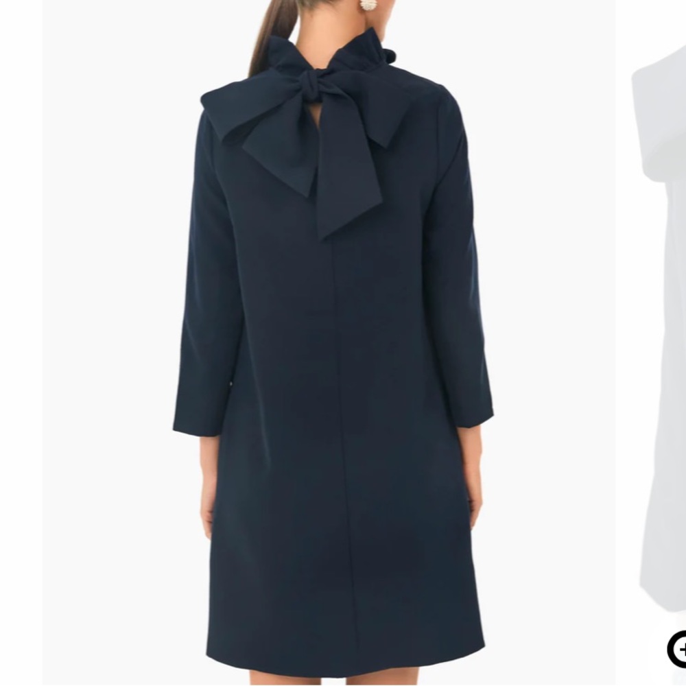 Tuckernuck Navy Ruffle-Neck Mini Dress - Picture 4 of 7
